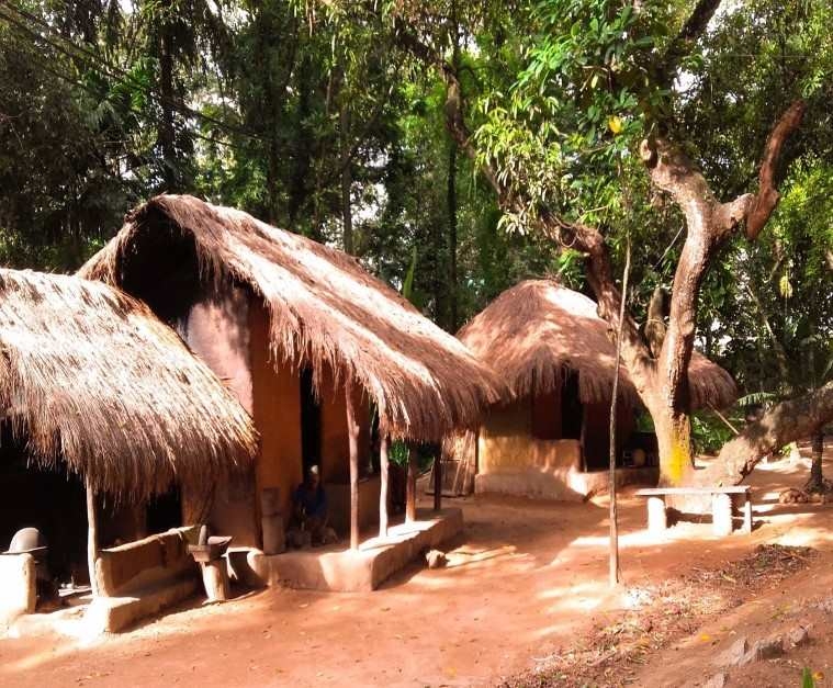 Cathedral Cove Kayaking